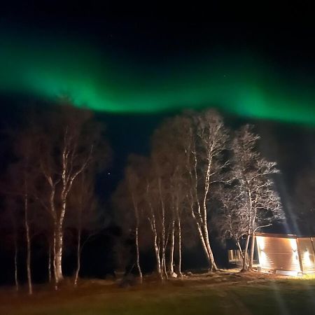 Cottage With Good Standard Next To Neiden River Экстерьер фото