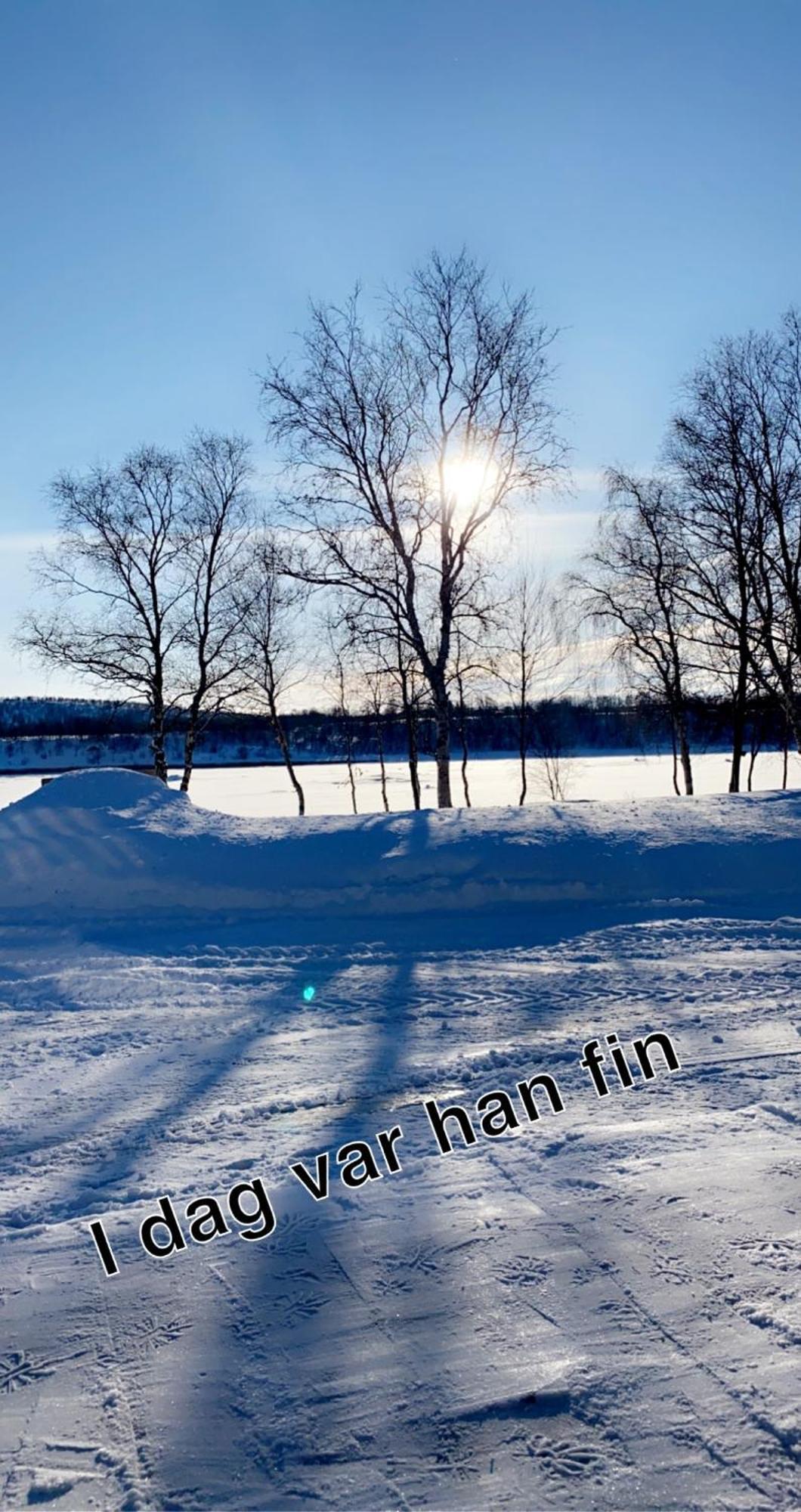 Cottage With Good Standard Next To Neiden River Экстерьер фото